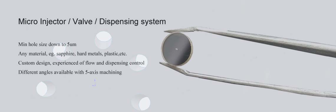 Micro injector valve